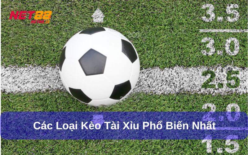 Các loại kèo tài xỉu phổ biến nhất hiện nay